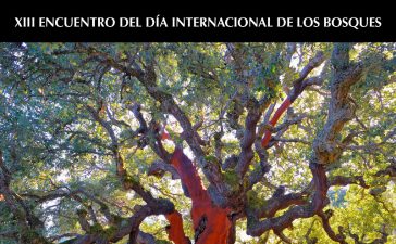 XIII Encuentro del Día Internacional de los Bosques 2018 4