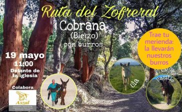 Ruta en familia por el Zofreral de Cobrana acompañados de burros 10