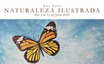 “Naturaleza ilustrada”, la nueva exposición de Ana Soto en La Moncloa de San Lázaro de Cacabelos 1