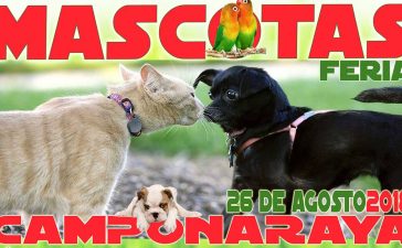 Camponaraya anuncia su Feria de las Mascotas para el 26 de agosto 10