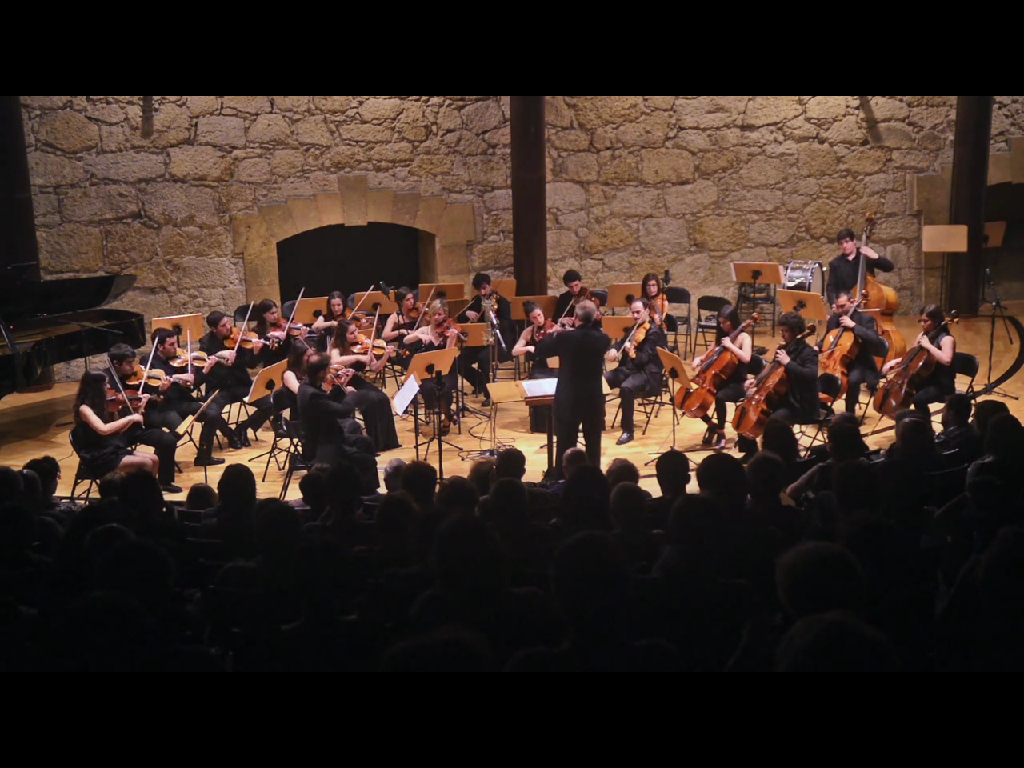 Concierto gratuito de la orquesta de cámara "ENSEMBLE ARS MUNDI" en la Bodega del Palacio de Canedo 1