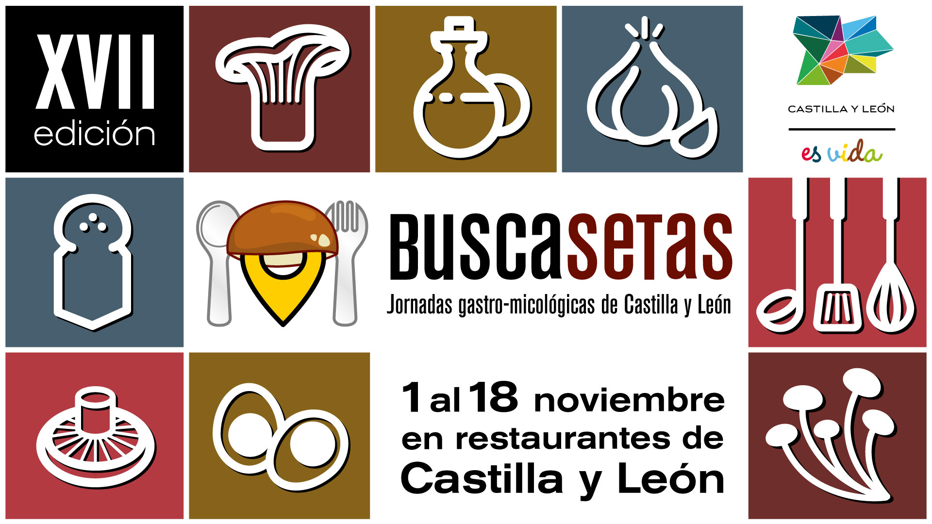 Llegan las XVII Jornadas gastronómicas Busca Setas a Castilla y León 1