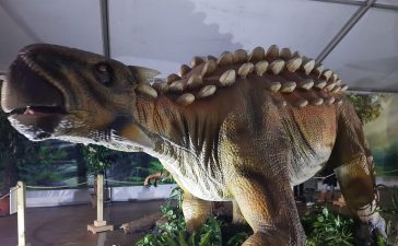llega a Ponferrada 'Dinosauria Experience', exposición de dinosaurios animatrónicos 8