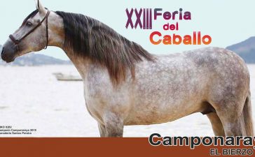 Camponaraya celebra la XXIII Feria del Caballo del 10 al 12 de mayo 4