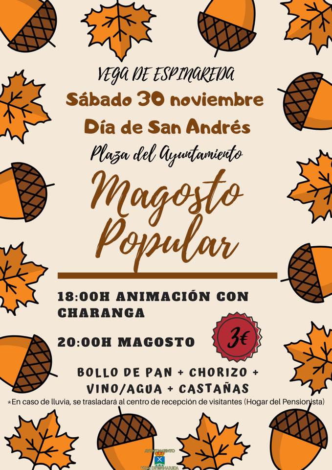 Gran Magosto en Vega de Espinareda para celebrar San Andrés 1