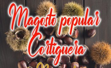 Gran Magosto popular en Cortiguera. 8 de noviembre 2019 3