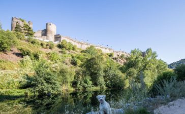 Ponferrada encabeza el ranking de ciudades Dog-Friendly de España 1