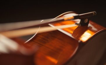 El concierto de Año Nuevo de Ponferrada incluirá Suites de “El Cascanueces” y “El lago de los cisnes” 7