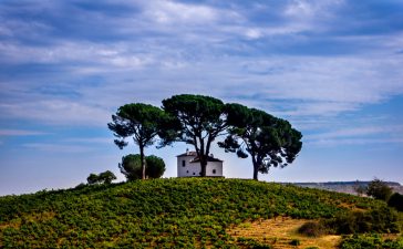 La Revista Traveler vuelve a ensalzar las virtudes de los productos del Bierzo en un reportaje titulado " Bierzo, mucho más que un vino" 5