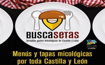 Las jornadas ‘Buscasetas Tierra de Sabor’ ofertarán simultáneamente menús y tapas con lo mejor de la gastronomía micológica de Castilla y León hasta el 15 de noviembre 5