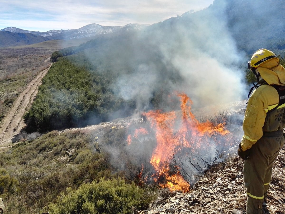 Jornada técnica sobre prevención de incendios forestales en el Campus de Ponferrada 1