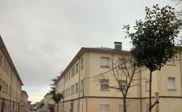 Medio Ambiente de Ponferrada, sustituye los tilos talados en el poblado de MSP en el Temple por ejemplares de la variedad Photinia 9