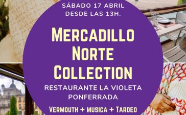 mercadillo norte collection La Violeta