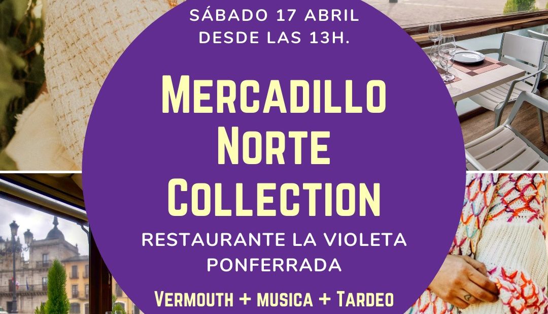 mercadillo norte collection La Violeta