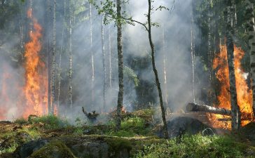 El campus de Ponferrada acoge el lunes una jornada técnica sobre el seguimiento de cambios y daños en los bosques empleando sensores remotos. 1