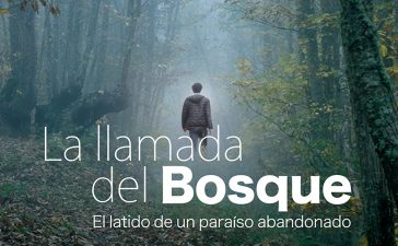 El documental “La Llamada del Bosque” dedicado al soto de castaños de Villar de los Barrios se estrenará en la UNED 3