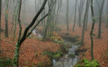 7 Parques Naturales en Galicia que no te puedes perder 6
