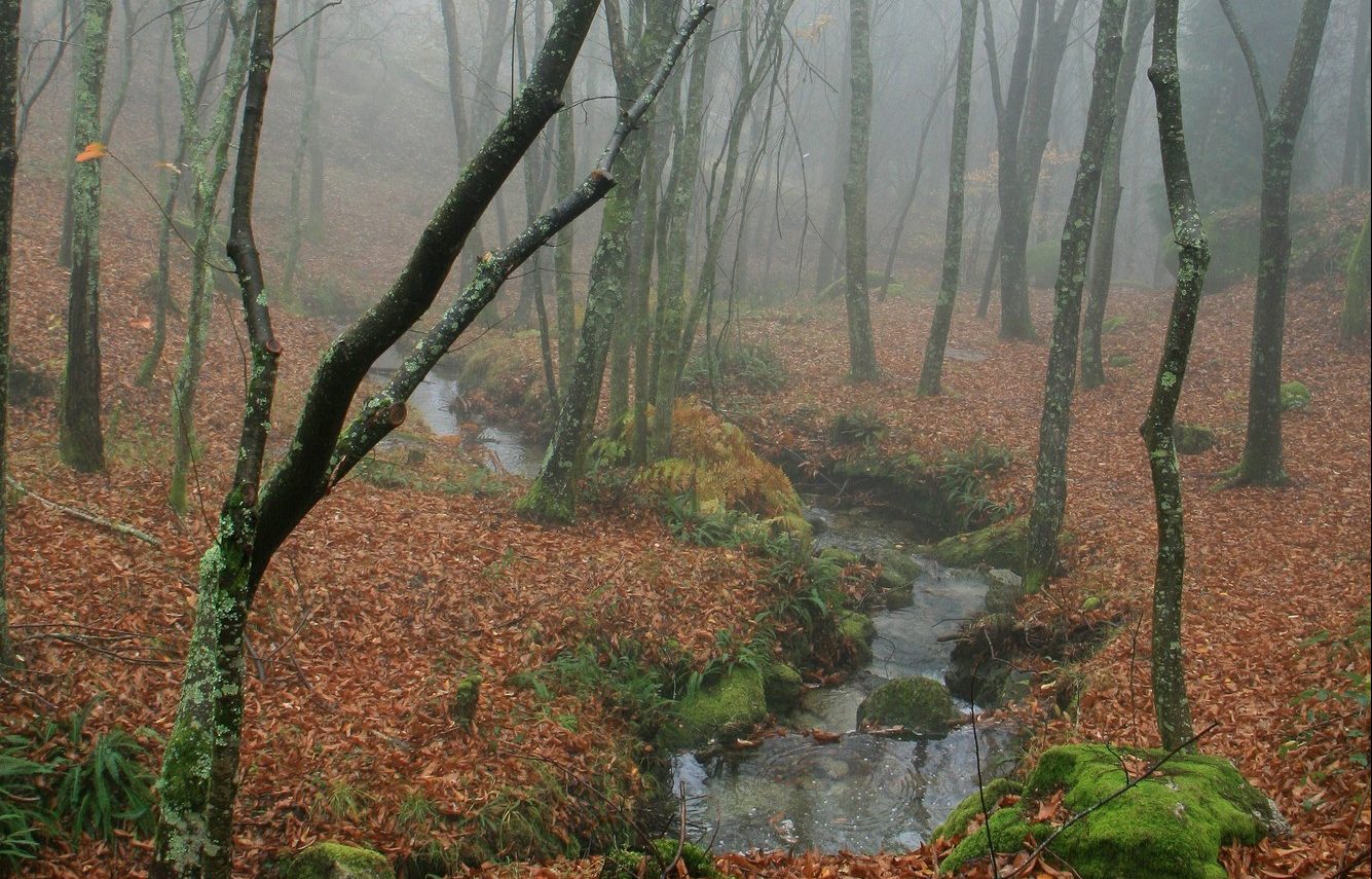 7 Parques Naturales en Galicia que no te puedes perder 1