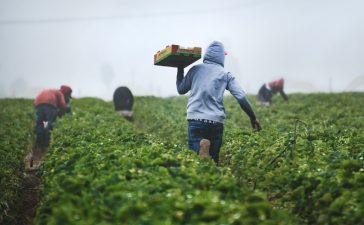 El arraigo laboral de las personas inmigrantes, cuestión clave para la integración de este colectivo en el medio rural de la Comunidad 2