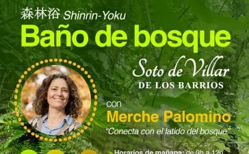 El soto de Villar de los Barrios escenario de nuevo este fin de semana de Baños de bosque 3