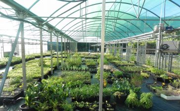 Abiertas nuevas plazas para participar en los programas formativos en CIUDEN Vivero 9