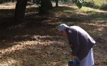 Josefa, celebra su 100 cumpleaños en Quintana de Fuseros 1