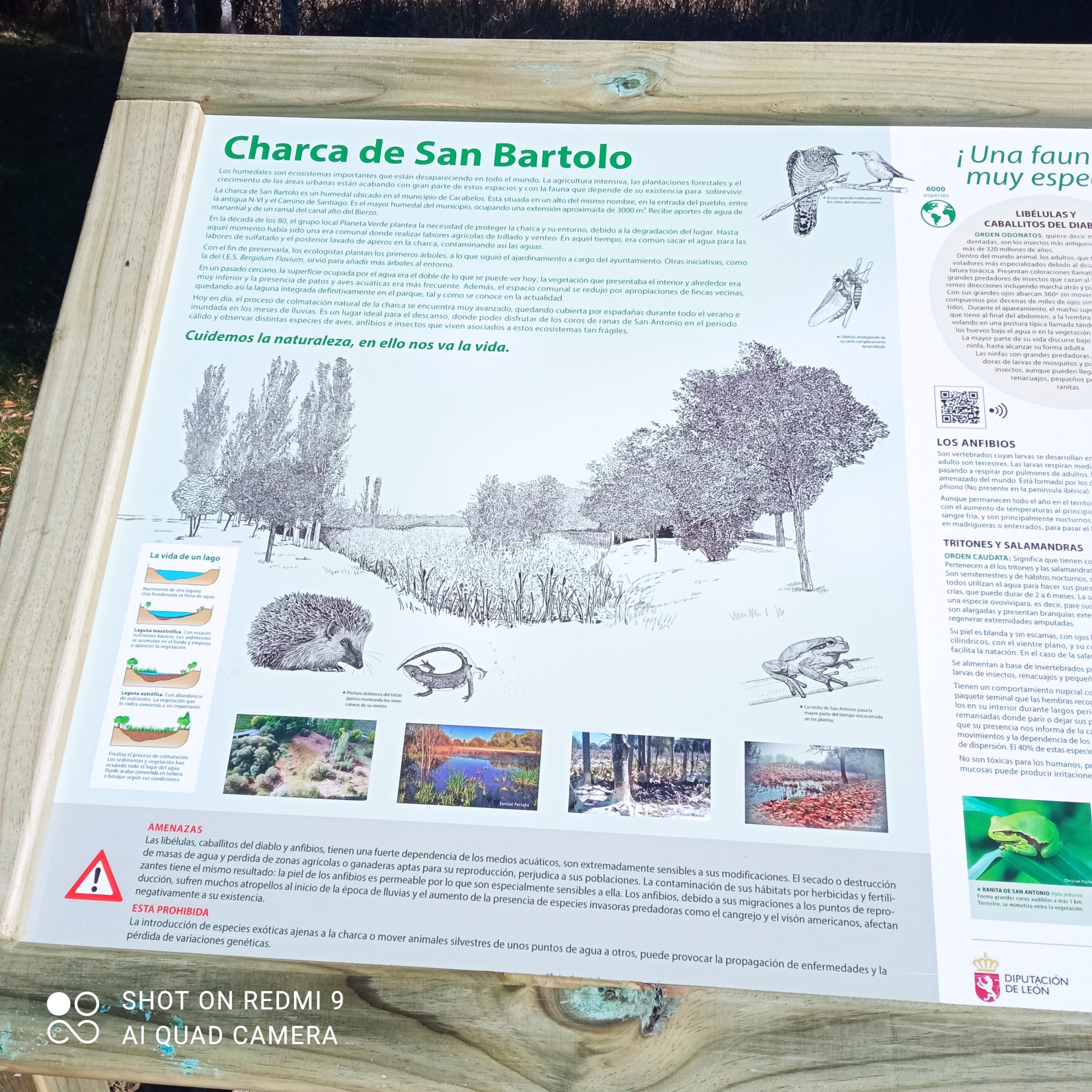 Nuevo equipamiento de educación ambiental sobre la Charca de San Bartolo 2