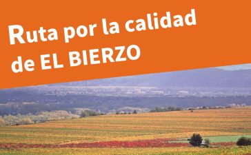 Villafranca del Bierzo acoge el domingo la Ruta por la calidad del Viñedo organizada por el Consejo Comarcal 6