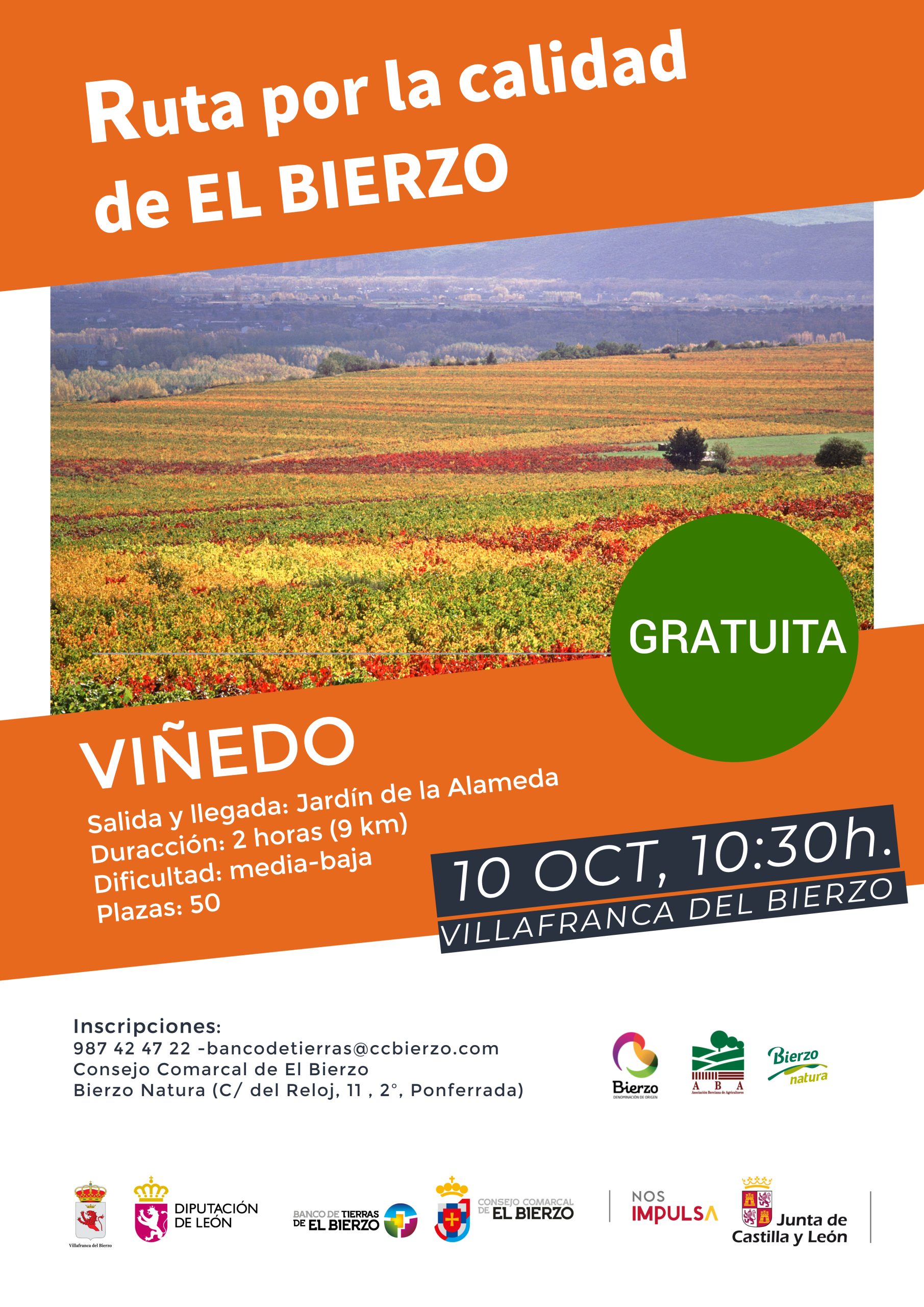 Villafranca del Bierzo acoge el domingo la Ruta por la calidad del Viñedo organizada por el Consejo Comarcal 2