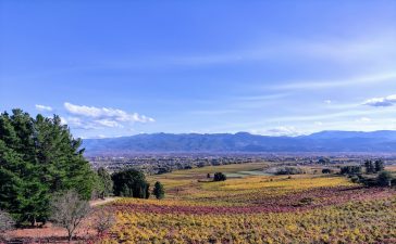 El Bierzo se adentra en el otoño mostrando su mejor color desde el Castro Ventosa 6