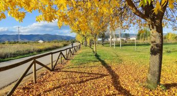 Mini ruta con niños por el Bierzo. Visita a la Laguna de San Bartolo y su entorno en Cacabelos