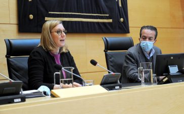 La junta destina 20 millones para ayudas a la natalidad y el cuidado de hijos 3