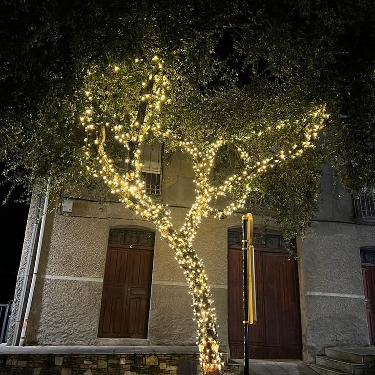 Molinaseca inaugura su iluminación navideña que dará lustre a la población 5