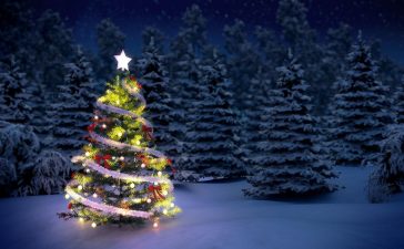 Programación de Navidad en Cubillos del Sil 2021. Cabalgata, deportes, magia y mucho más 3