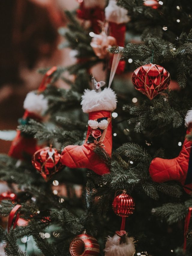 Planes de Navidad en Ponferrada y El Bierzo 31 dic al 2 enero