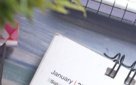 cropped-pexels-photo-9036980.jpeg
