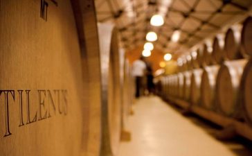 Un vino del Bierzo en el top 3 de vinos blancos con Barrica en el certamen de los Mejores Vinos y Espirituosos de España 5