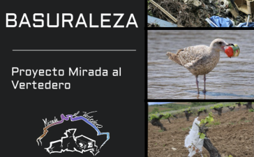 El proyecto "Mirada al vertedero" llega al Museo Arqueológico de Cacabelos 4