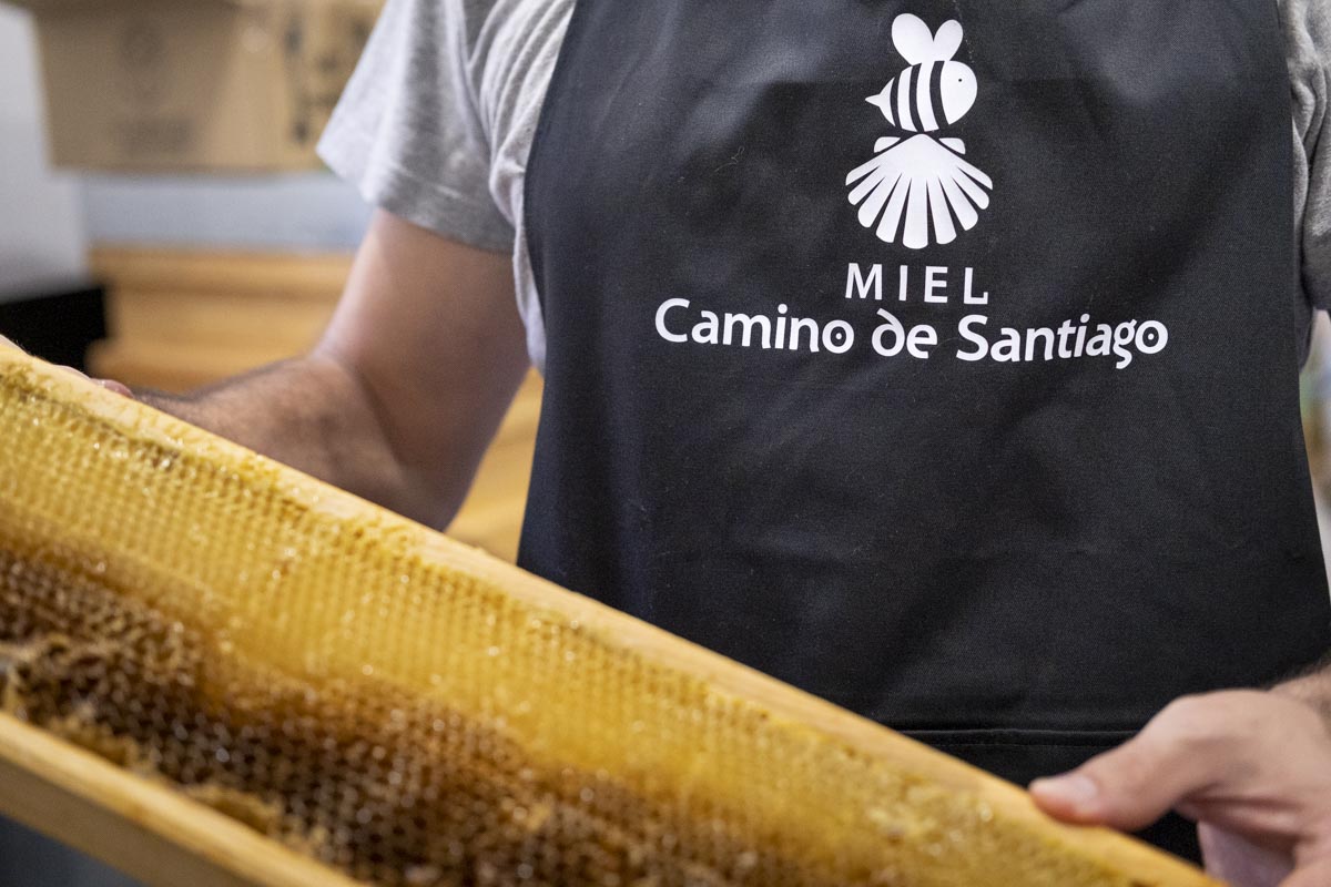 Miel Camino de Santiago elegida Mejor miel de España de castaño por segundo año 1