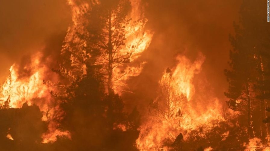 <a rel="noreferrer noopener" href="https://comunicacion.jcyl.es/web/jcyl/Comunicacion/es/Plantilla100Detalle/1281372051501/NotaPrensa/1285137298837/Comunicacion?d=1" target="_blank">La Junta mantiene hasta el próximo jueves 17 la declaración de peligro medio de incendios forestales en toda la Comunidad</a> 1