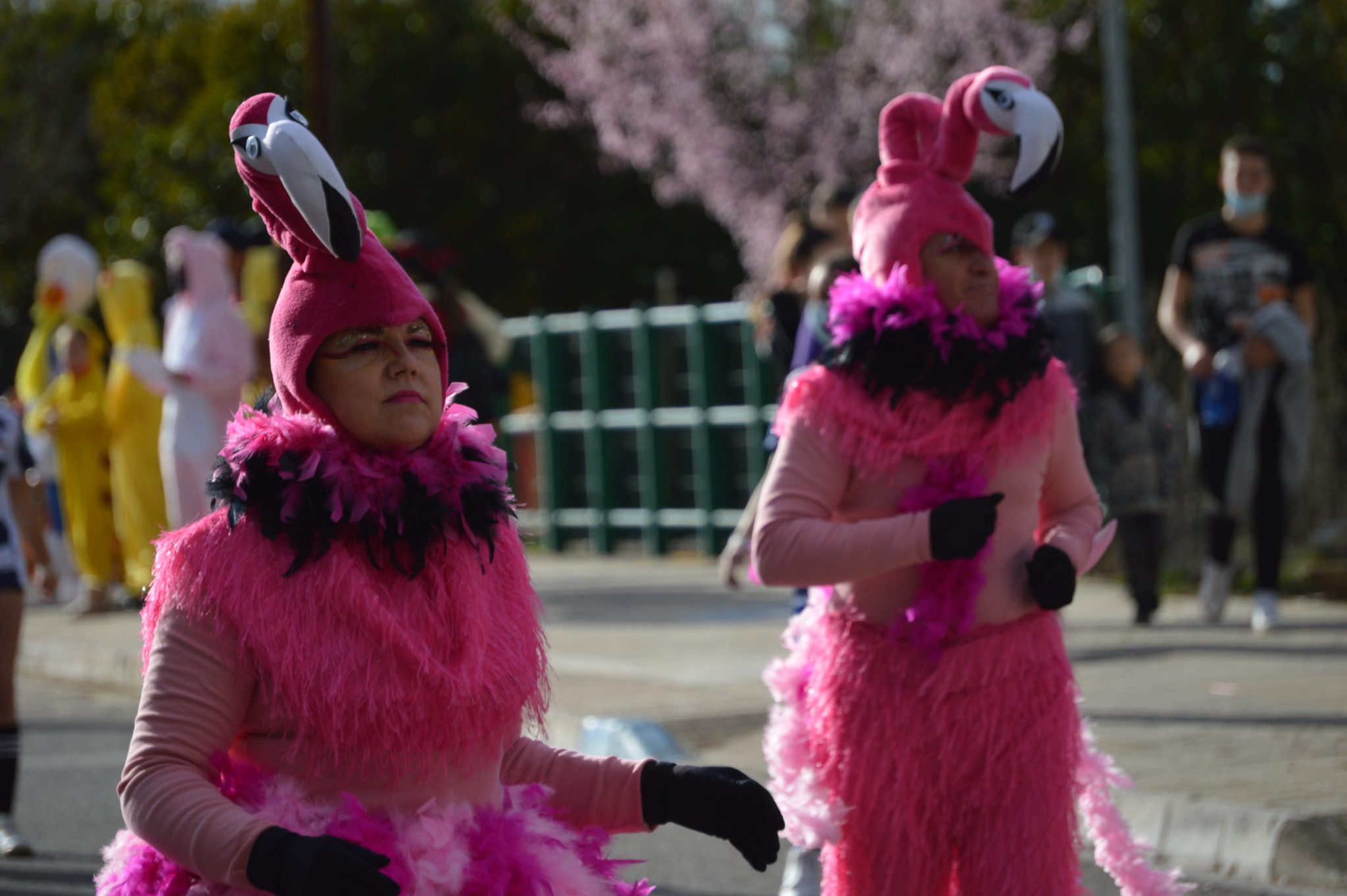 Cubillos retoma la animación en las calles con su tradicional desfile de Carnaval 103