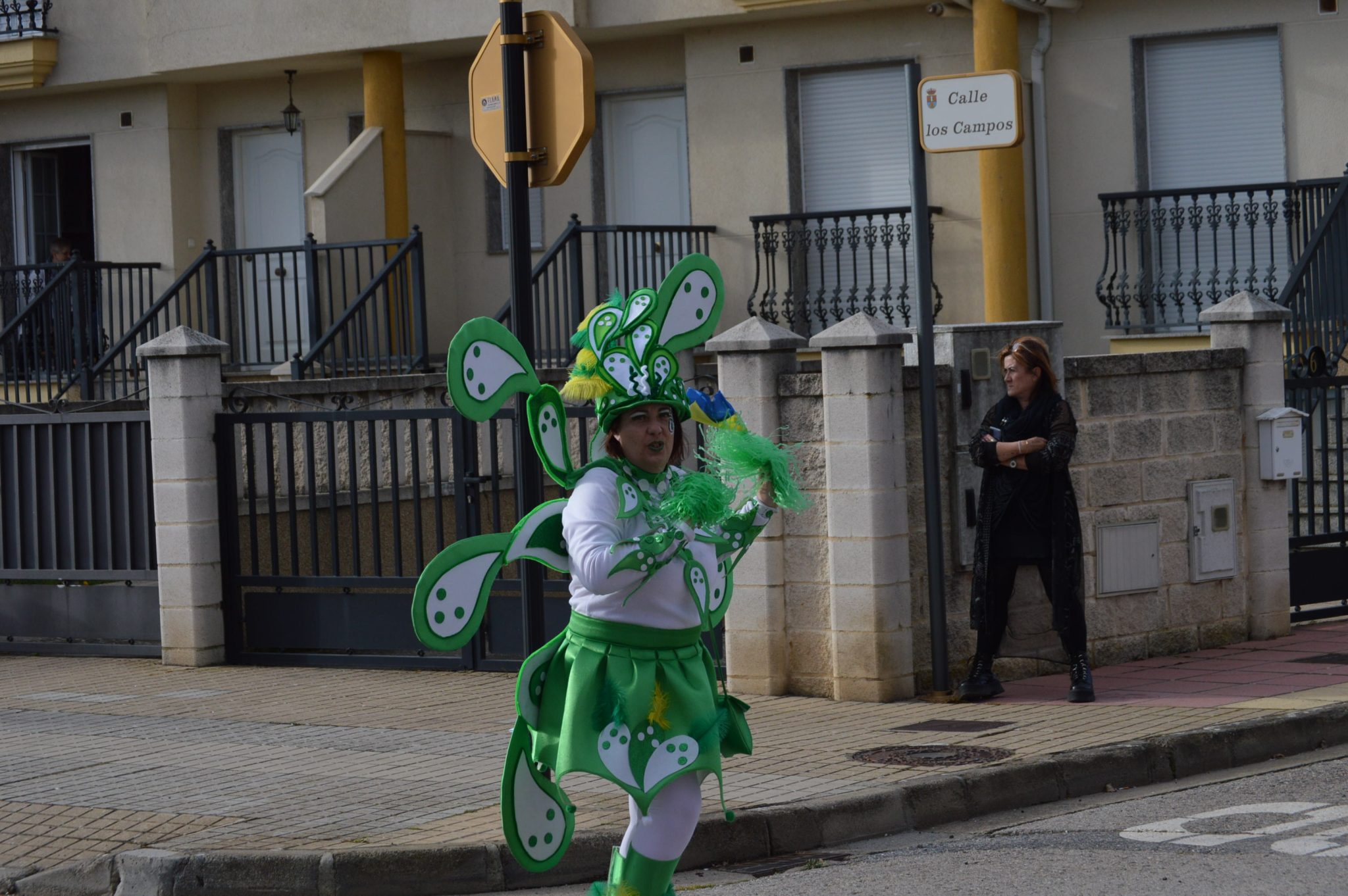 Cubillos retoma la animación en las calles con su tradicional desfile de Carnaval 45