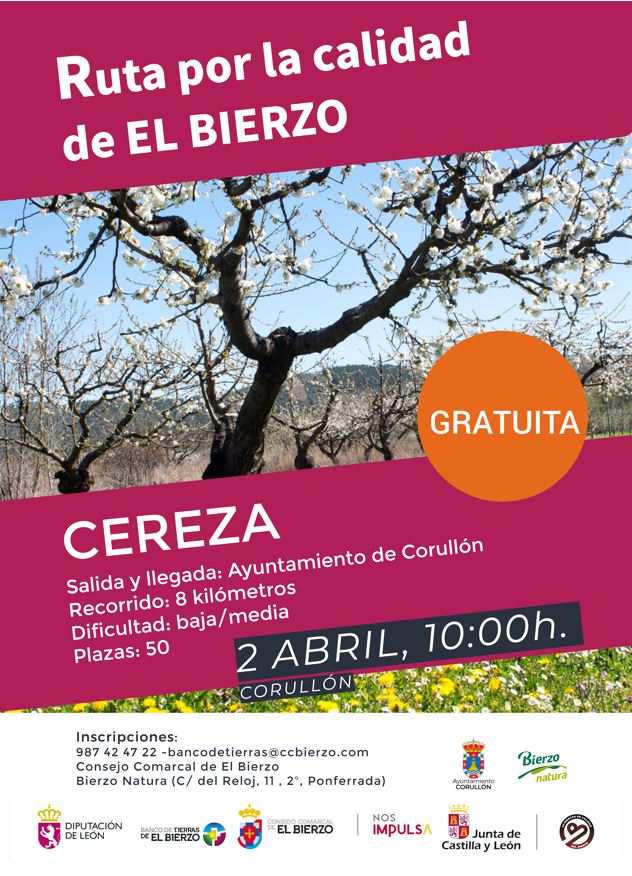 cerezas bierzo