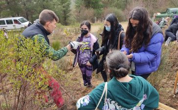 Alumnos de la ESO del Gil y Carrasco plantan 300 árboles en una parcela del Pajariel destruida por el fuego 10