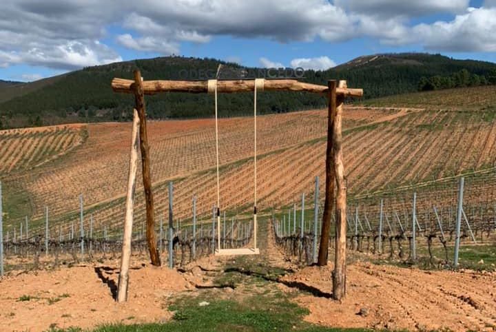 Visita al columpio de las Lamas del Picón y las Bodegas Gancedo de Quilós 1