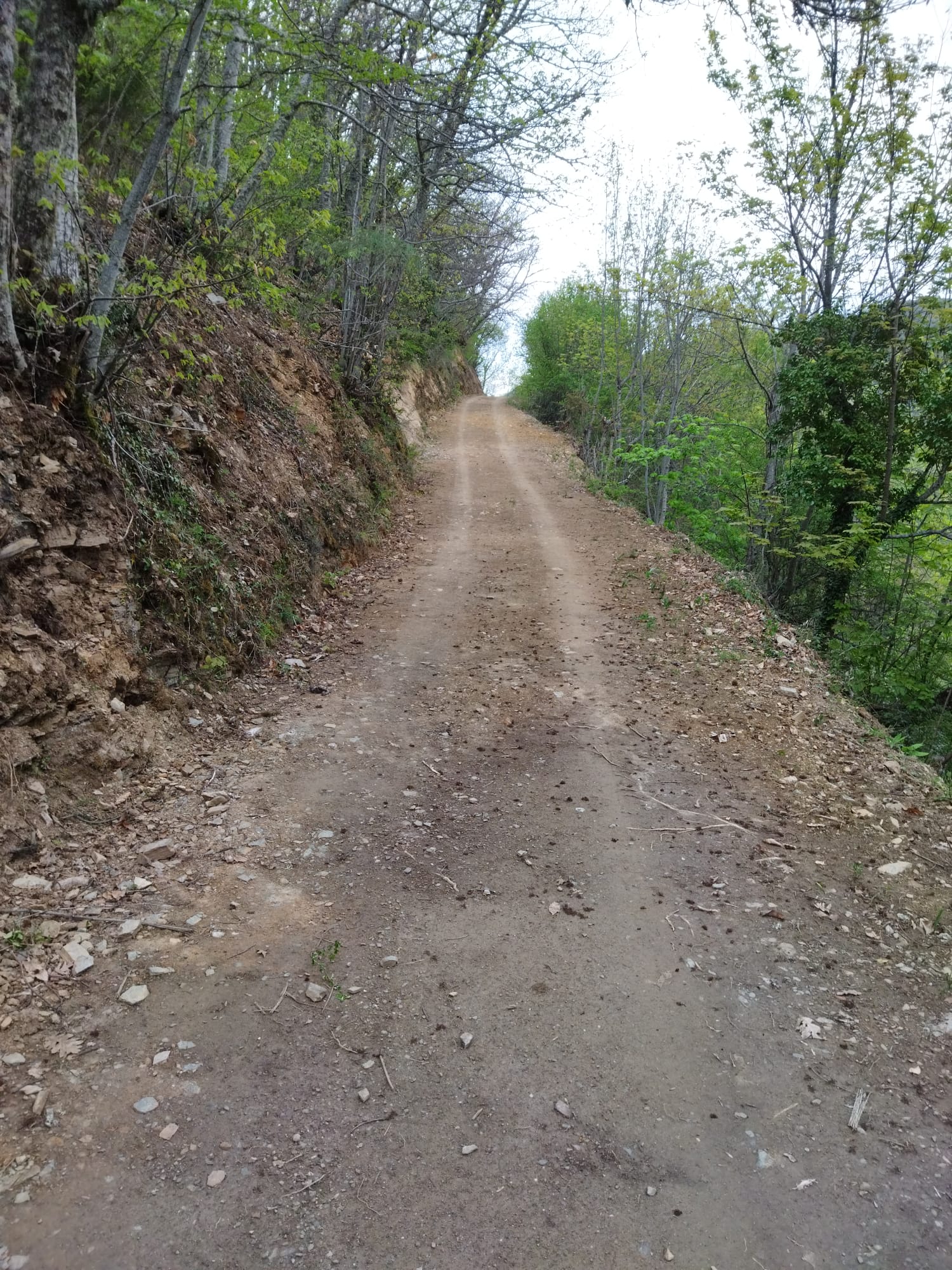 Manzanedo de Valdueza mejora 8 Km de caminos para quedar perfectamente transitables 1