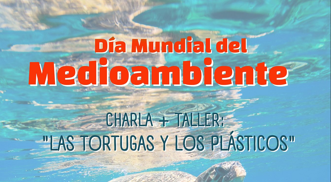 Charla+taller "LAS TORTUGAS Y LOS PLÁSTICOS" en el Civi de Camponaraya 1