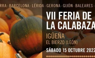 Llega la VII Feria de la Calabaza a Igüeña con participación de ejemplares desde diferentes puntos de la península 2