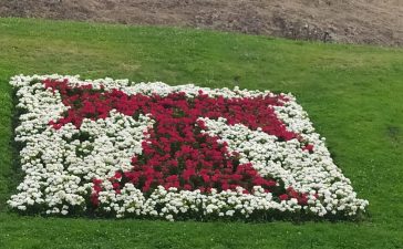 El servicio Municipal de parques y jardines regalará este miércoles las plantas sustituidas en los parterres 10