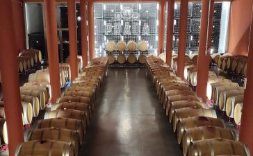 Seis vinos de Prada logran otros tantos sobresalientes en la guía SEVI 2022 9